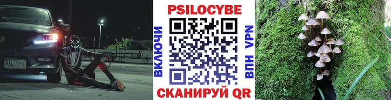 Псилоцибиновые грибы мицелий  Купить закладки  Апшеронск 